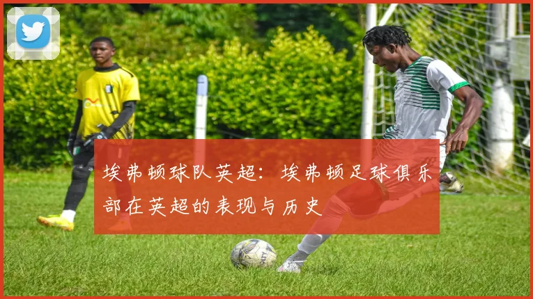 埃弗顿球队英超:埃弗顿足球俱乐部在英超的表现与历史